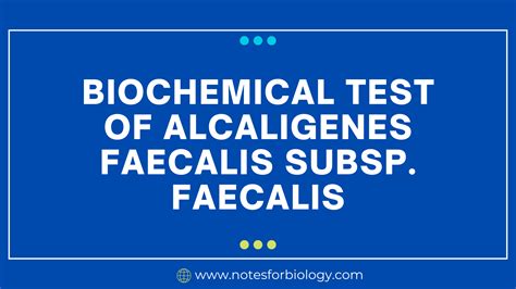 alcaligenes faecalis biochemical tests|Achromobacter, Alcaligenes and Related Genera .